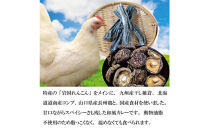 池本食品&nbsp;岩国蓮根和風カレー甘口5食セット