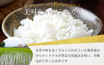 【令和7年産&nbsp;】阿久津吉弘さんのコシヒカリ&nbsp;白米&nbsp;5キロ&nbsp;｜&nbsp;お米&nbsp;&nbsp;5Kg&nbsp;米&nbsp;産地直送&nbsp;産直&nbsp;栃木県&nbsp;大田原市