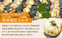 ［2026年発送分・先行予約］農家さん直送&nbsp;低農薬玉ねぎ&nbsp;2Lサイズ以上&nbsp;10kg程度［4月中旬～7月中旬頃発送予定］［KF15］