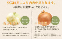 ［2026年発送分・先行予約］訳あり&nbsp;農家さん直送&nbsp;低農薬玉ねぎ&nbsp;10kg程度&nbsp;S～2L混合［4月中旬～7月中旬頃発送予定］ご家庭用&nbsp;※傷有り［KF14］