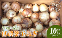 ［2026年発送分・先行予約］農家さん直送 低農薬玉ねぎ Sサイズ 10kg程度［4月中旬～7月中旬頃発送予定］［KF18］