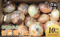 ［2026年発送分・先行予約］農家さん直送 低農薬玉ねぎ 2Lサイズ以上 10kg程度［4月中旬～7月中旬頃発送予定］［KF15］