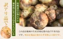 ［2026年発送分・先行予約］訳あり&nbsp;農家さん直送&nbsp;低農薬玉ねぎ&nbsp;4kg程度&nbsp;S～2L混合［4月中旬～7月中旬頃発送予定］ご家庭用&nbsp;※傷有り［KF19］