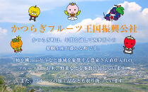 ［2026年発送分・先行予約］農家さん直送&nbsp;低農薬玉ねぎ&nbsp;Lサイズ&nbsp;10kg程度［4月中旬～7月中旬頃発送予定］［KF16］
