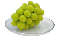 内子町産　シャインマスカット・ピオーネのセット 1.0kg