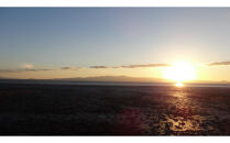 本場有明海栽培海苔　海王　一番摘み焼海苔［全形5枚入り7袋］