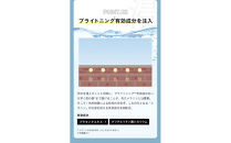 SHIKARI(シカリ)&nbsp;ブライトニング&nbsp;ウォッシュ&nbsp;マイルド&nbsp;リフィル【詰め替え用】&nbsp;（洗顔パック）医薬部外品