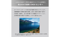 パナソニック&nbsp;デジタルカメラ&nbsp;ルミックス&nbsp;DC-G99M2H【&nbsp;デジタルカメラ&nbsp;大阪府&nbsp;門真市&nbsp;】