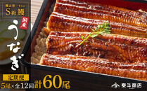 【定期便全12回】横山桂一さんのS級鰻　大5尾×12回配送　計60尾