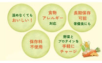 【からだを想う野菜スープ】ひよこ豆カレー10食セット/レトルト/食物アレルギー対応/長期保存/防災食