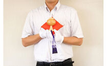 出雲大社ゆかりの縁起物　福こづち３号・福こづち０号