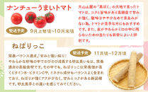 1015.【先行予約&nbsp;2026年8月以降発送】&nbsp;鳥取県北栄町から旬の美味しさをお届け！特産づくし【5回定期便】（巨峰・シャインマスカット・プリモレッド・トマト・ねばりっこ）