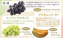 1015.【先行予約&nbsp;2026年8月以降発送】&nbsp;鳥取県北栄町から旬の美味しさをお届け！特産づくし【5回定期便】（巨峰・シャインマスカット・プリモレッド・トマト・ねばりっこ）