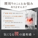 NIPLUX 腰ケア WAISTUPREMS | 1年保証 取扱説明書付き EMS 腰ケア ストレッチャー 温熱 牽引 ウエスタプレミス 骨盤 ストレッチ 腰痛 低周波 サポーター 美容家電 健康家電 日用品 ニップラックス 福岡県 福岡市 人気 おすすめ NP-WR23