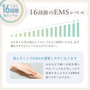 NIPLUX 腰ケア WAISTUPREMS | 1年保証 取扱説明書付き EMS 腰ケア ストレッチャー 温熱 牽引 ウエスタプレミス 骨盤 ストレッチ 腰痛 低周波 サポーター 美容家電 健康家電 日用品 ニップラックス 福岡県 福岡市 人気 おすすめ NP-WR23