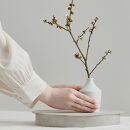 紀州漆器 SHIKI-ORIORI しきおりおり さざなみ Dai 台 お盆 トレイ