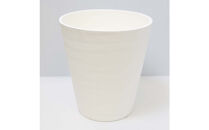 《先行予約》【観葉植物】サンスベリア&nbsp;5号&nbsp;ホワイト丸プラスチック鉢&nbsp;土の表面:ウッドチップ｜観葉植物&nbsp;インテリア&nbsp;部屋&nbsp;おしゃれ&nbsp;福岡県筑前町&nbsp;送料無料