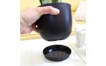 《先行予約》【観葉植物】サンスベリア&nbsp;5号&nbsp;ブラック丸プラスチック鉢（Bowl）土の表面:ウッドチップ｜観葉植物&nbsp;インテリア&nbsp;部屋&nbsp;おしゃれ&nbsp;福岡県筑前町&nbsp;送料無料