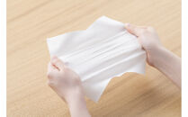 【60枚入り×10個】クレンジングタオル&nbsp;なめらかタッチ&nbsp;６０枚入&nbsp;&nbsp;BTSC-60