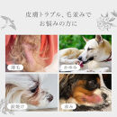 ミラネストゼリースティック&nbsp;FOR&nbsp;DOG&nbsp;12g&nbsp;×&nbsp;30本【福岡市】犬用