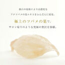 ミラネスト肉球ケアクリーム&nbsp;FOR&nbsp;DOG&nbsp;&&nbsp;CAT&nbsp;20g【福岡市】犬猫用