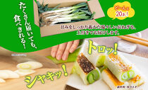 ねぎ&nbsp;土付き20本&nbsp;3kg以上&nbsp;｜長ねぎ&nbsp;ネギ&nbsp;葱&nbsp;野菜&nbsp;国産&nbsp;新鮮&nbsp;常備&nbsp;保存&nbsp;土付き&nbsp;鍋&nbsp;味噌汁&nbsp;すき焼き&nbsp;薬味&nbsp;料理&nbsp;お裾分け&nbsp;贈り物&nbsp;長野県産&nbsp;送料無料&nbsp;産地直送&nbsp;平林農園&nbsp;長野県&nbsp;大町市