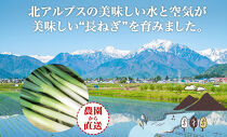 ねぎ&nbsp;土付き20本&nbsp;3kg以上&nbsp;｜長ねぎ&nbsp;ネギ&nbsp;葱&nbsp;野菜&nbsp;国産&nbsp;新鮮&nbsp;常備&nbsp;保存&nbsp;土付き&nbsp;鍋&nbsp;味噌汁&nbsp;すき焼き&nbsp;薬味&nbsp;料理&nbsp;お裾分け&nbsp;贈り物&nbsp;長野県産&nbsp;送料無料&nbsp;産地直送&nbsp;平林農園&nbsp;長野県&nbsp;大町市