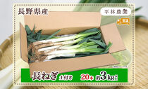 ねぎ&nbsp;土付き20本&nbsp;3kg以上&nbsp;｜長ねぎ&nbsp;ネギ&nbsp;葱&nbsp;野菜&nbsp;国産&nbsp;新鮮&nbsp;常備&nbsp;保存&nbsp;土付き&nbsp;鍋&nbsp;味噌汁&nbsp;すき焼き&nbsp;薬味&nbsp;料理&nbsp;お裾分け&nbsp;贈り物&nbsp;長野県産&nbsp;送料無料&nbsp;産地直送&nbsp;平林農園&nbsp;長野県&nbsp;大町市