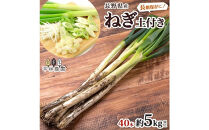 ねぎ&nbsp;土付き40本&nbsp;5kg以上&nbsp;｜長ねぎ&nbsp;ネギ&nbsp;葱&nbsp;野菜&nbsp;国産&nbsp;新鮮&nbsp;常備&nbsp;保存&nbsp;土付き&nbsp;鍋&nbsp;味噌汁&nbsp;すき焼き&nbsp;薬味&nbsp;料理&nbsp;お裾分け&nbsp;贈り物&nbsp;長野県産&nbsp;送料無料&nbsp;産地直送&nbsp;平林農園&nbsp;長野県&nbsp;大町市