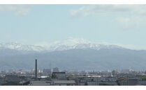 【金沢おでん、うどんに】金沢・料理だし500ml×6本&nbsp;食品&nbsp;加工食品&nbsp;和食&nbsp;おでん&nbsp;料理&nbsp;だし&nbsp;おかず&nbsp;和風&nbsp;地域特産&nbsp;郷土料理&nbsp;伝統料理&nbsp;冬料理&nbsp;温かい料理&nbsp;家庭料理&nbsp;ヘルシー&nbsp;石川&nbsp;金沢&nbsp;北陸&nbsp;復興支援&nbsp;復興応援