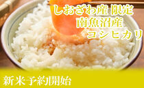 【令和8年産　新米予約】定期便６ヶ月：精米10kgしおざわ産限定&nbsp;南魚沼産コシヒカリ【2026年10月上旬から1ヶ月以内に順次発送予定】