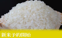 【令和8年産　新米予約】定期便12ヶ月：精米10kgしおざわ産限定&nbsp;南魚沼産コシヒカリ【2026年10月上旬から1ヶ月以内に順次発送予定】