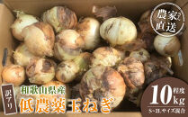 ［2026年発送分・先行予約］訳あり 農家さん直送 低農薬玉ねぎ 10kg程度 S～2L混合［4月中旬～7月中旬頃発送予定］ご家庭用 ※傷有り［KF14］