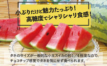小玉&nbsp;すいか「ピノ・ガール」2玉（約2kg×2玉）|&nbsp;&nbsp;こだますいか&nbsp;スイカ&nbsp;すいか&nbsp;西瓜&nbsp;果物&nbsp;人気&nbsp;おすすめ&nbsp;旬&nbsp;夏&nbsp;シャリ&nbsp;さっぱり&nbsp;甘い&nbsp;フルーツ&nbsp;くだもの&nbsp;デザート&nbsp;果汁&nbsp;季節限定&nbsp;夏季限定&nbsp;期間限定&nbsp;お取り寄せ&nbsp;鹿児島県&nbsp;大崎町