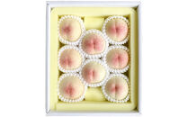 桃 2026年  特選 岡山の桃 8玉 約2kg 早生（わせ）種 もも モモ 岡山県産 国産 フルーツ 果物 ギフト いろは堂