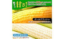 とうもろこし&nbsp;イエロー&nbsp;＆&nbsp;ホワイト&nbsp;食べ比べ&nbsp;400g以上&nbsp;各5本&nbsp;計10本&nbsp;ゴールドラッシュ&nbsp;ピュアホワイト&nbsp;コーン&nbsp;玉蜀黍&nbsp;農家直送&nbsp;産直&nbsp;信州&nbsp;人気&nbsp;お取り寄せ&nbsp;平林農園&nbsp;送料無料&nbsp;長野県&nbsp;大町市