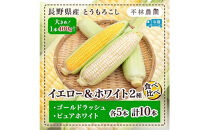 とうもろこし&nbsp;イエロー&nbsp;＆&nbsp;ホワイト&nbsp;食べ比べ&nbsp;400g以上&nbsp;各5本&nbsp;計10本&nbsp;ゴールドラッシュ&nbsp;ピュアホワイト&nbsp;コーン&nbsp;玉蜀黍&nbsp;農家直送&nbsp;産直&nbsp;信州&nbsp;人気&nbsp;お取り寄せ&nbsp;平林農園&nbsp;送料無料&nbsp;長野県&nbsp;大町市