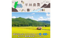 とうもろこし&nbsp;イエロー&nbsp;＆&nbsp;ホワイト&nbsp;食べ比べ&nbsp;400g以上&nbsp;各5本&nbsp;計10本&nbsp;ゴールドラッシュ&nbsp;ピュアホワイト&nbsp;コーン&nbsp;玉蜀黍&nbsp;農家直送&nbsp;産直&nbsp;信州&nbsp;人気&nbsp;お取り寄せ&nbsp;平林農園&nbsp;送料無料&nbsp;長野県&nbsp;大町市