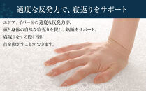 エアウィーヴ&nbsp;コンフォート&nbsp;ピローC2&nbsp;【&nbsp;エアウィーブ&nbsp;枕&nbsp;寝具&nbsp;人気&nbsp;おすすめ&nbsp;有名&nbsp;ブランド&nbsp;マクラ&nbsp;エアウィーヴ&nbsp;高さ調整可能&nbsp;通気性抜群&nbsp;定番&nbsp;エアウィーヴ&nbsp;まくら&nbsp;快眠枕&nbsp;洗える&nbsp;水洗い&nbsp;エアウイーヴ&nbsp;エアーウィーヴ&nbsp;浅田真央&nbsp;ギフト&nbsp;プレゼント&nbsp;エアウィーブ&nbsp;贈答&nbsp;ふるさと納税限定&nbsp;makura&nbsp;airweave&nbsp;エアウィーブ枕&nbsp;送料無料】