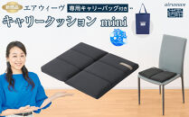 ★TBSテレビ系列「ひるおび」で取り上げられました！★&nbsp;エアウィーヴ&nbsp;キャリークッションmini&nbsp;airweave&nbsp;エアウィーブ&nbsp;洗える&nbsp;洗濯可能&nbsp;蒸れにくい&nbsp;クッション&nbsp;座布団&nbsp;ざぶとん&nbsp;椅子&nbsp;人気&nbsp;おすすめ&nbsp;愛知県&nbsp;大府市