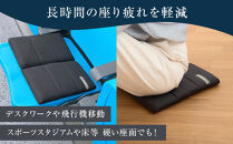 ★TBSテレビ系列「ひるおび」で取り上げられました！★&nbsp;エアウィーヴ&nbsp;キャリークッションmini&nbsp;airweave&nbsp;エアウィーブ&nbsp;洗える&nbsp;洗濯可能&nbsp;蒸れにくい&nbsp;クッション&nbsp;座布団&nbsp;ざぶとん&nbsp;椅子&nbsp;人気&nbsp;おすすめ&nbsp;愛知県&nbsp;大府市