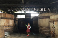 日光のけっこう漬 たまり漬 小袋8個入 国産野菜 贈答品 ギフト 漬物 日光 名産