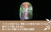 【国宝・重要文化財記念便】びわ湖疏水船(2025年秋シーズン)&nbsp;先行予約権&nbsp;2名様分の先行予約の権利&nbsp;[&nbsp;京都&nbsp;船&nbsp;疏水&nbsp;乗船券&nbsp;専門ガイド&nbsp;人気&nbsp;おすすめ&nbsp;遊覧&nbsp;春秋&nbsp;送料無料&nbsp;ふるさと納税&nbsp;]