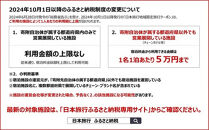 京都府京都市日本旅行地域限定旅行クーポン60,000円分（Eメール発行）(ホテル、旅館、宿泊)［ 京都 旅行 クーポン ホテル 旅館 宿泊 観光 グルメ 人気 おすすめ ふるさと納税 ］