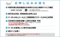 京都府京都市日本旅行地域限定旅行クーポン300,000円分（Eメール発行）(ホテル、旅館、宿泊)［ 京都 旅行 クーポン ホテル 旅館 宿泊 観光 グルメ 人気 おすすめ ふるさと納税 ］