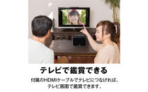 ケンコーフィルムスキャナーKFS-14DF　4961607005521