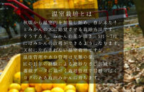 【お中元】ハウスみかん&nbsp;温室栽培&nbsp;夏の有田みかん&nbsp;約1kg&nbsp;秀品&nbsp;S・M・Lサイズのいずれか&nbsp;和歌山県&nbsp;産地直送&nbsp;みかんの会&nbsp;【7月上旬～8月上旬に順次発送】