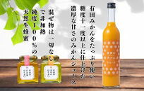 【お中元】みかんジュース (500ml×2本) と はちみつ ( みかん蜂蜜・百花蜂蜜 各210g) セット 和歌山県産 産地直送 みかんの会 【7月上旬～8月上旬に順次発送】