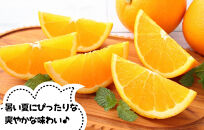 【お中元】バレンシアオレンジ 国産 玉ぞろい 秀品 箱込 約2.5kg (内容量 2.3kg ) 2L L M サイズのいずれか 和歌山県産 産地直送 みかんの会 【7月上旬～8月上旬に順次発送】