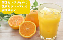 【お中元】 バレンシアオレンジ 国産 玉ぞろい 秀品 箱込 約5kg (内容量 4.4kg ) 2L L M サイズのいずれか 和歌山県産 産地直送 みかんの会 【7月上旬～8月上旬に順次発送】